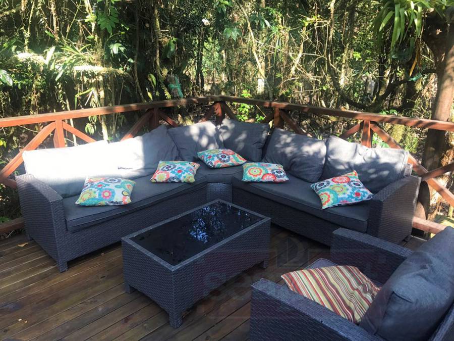 Lounge Lounge