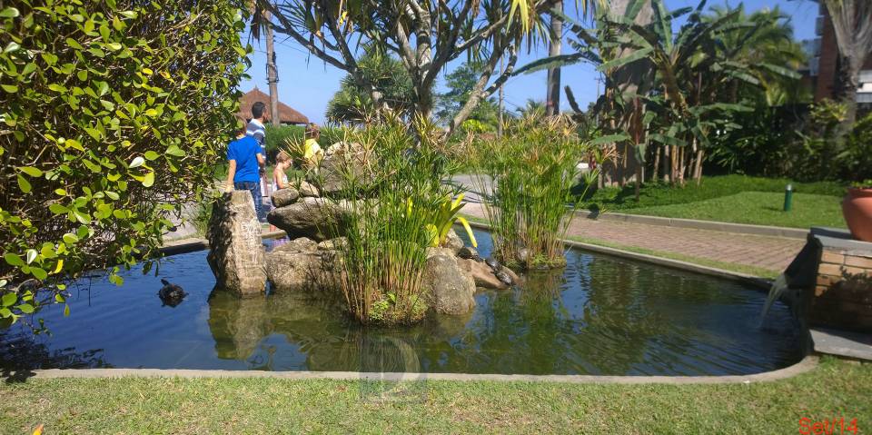 Fonte Tartarugas & Peixes Brisas