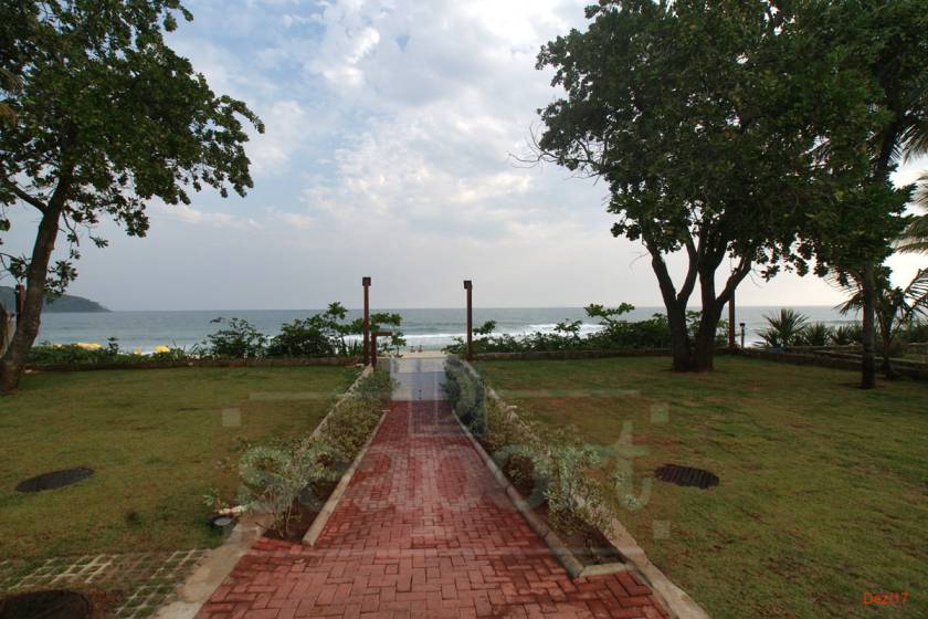 Jardim pé na areia 