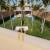 Jardim 
