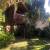 Jardim