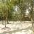 Área de Marinha 